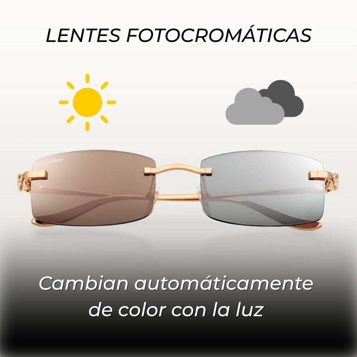 Gafas Panthère CTR - UV400 | Lujo Eterno